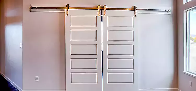 Glass Barn Door with Installation Hardware Kit Conway